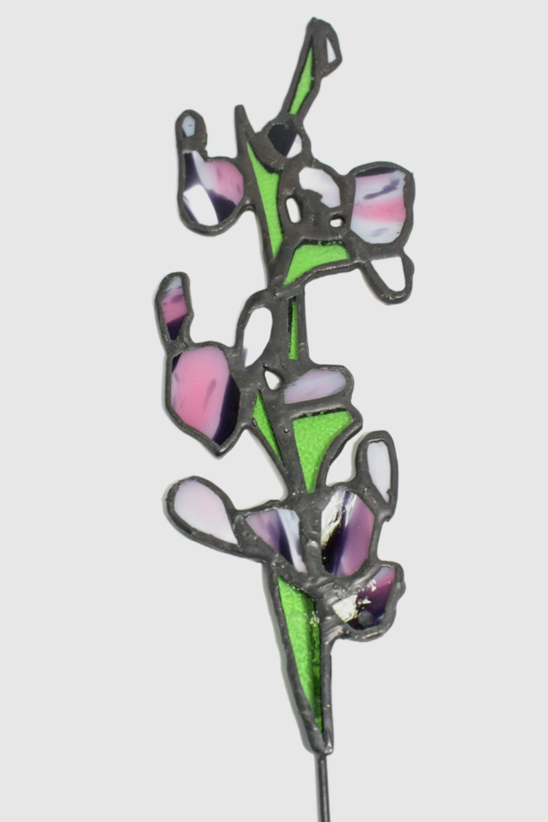 Wild orchid stems
