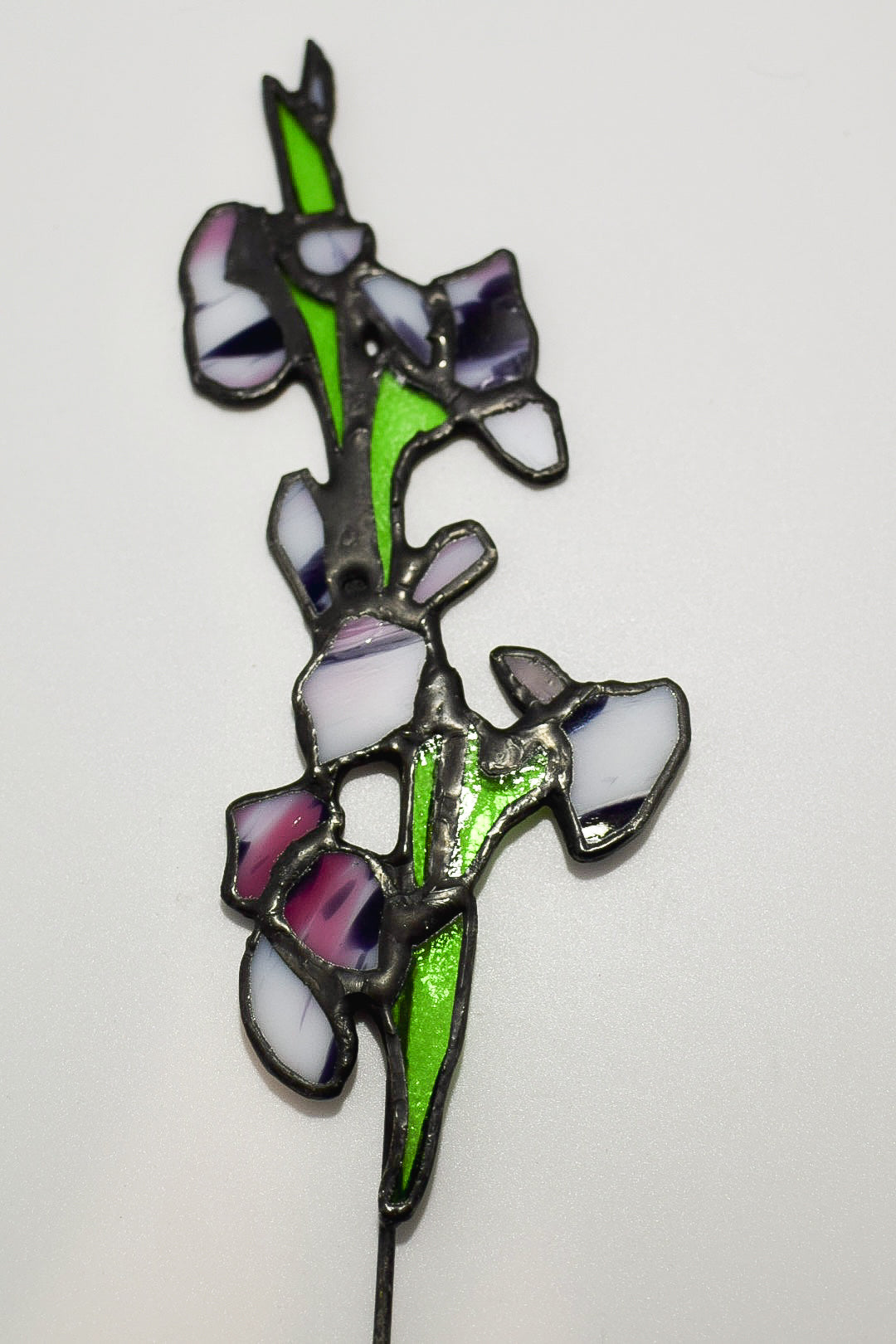 Wild orchid stems