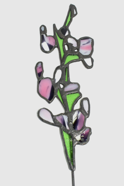 Wild orchid stems